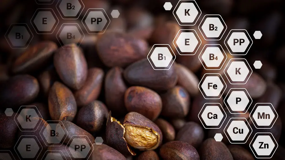 Витамины, которые содержатся в орехах