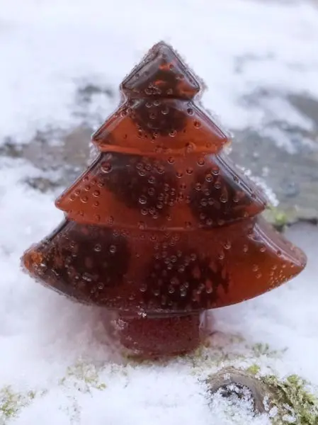 Мармелад сосновый с шишкой ЁЛОЧКА, 90гр Мармелад сосновый с шишкой ЁЛОЧКА, 90гр